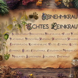 Herbarium